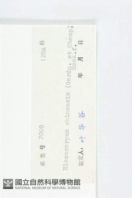 華杜英藏品圖，第3張