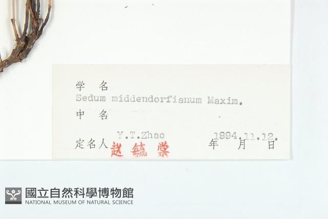 北景天藏品圖，第3張