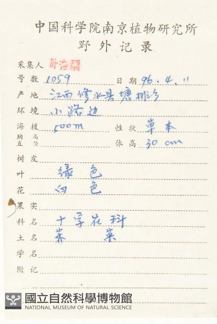 薺藏品圖，第2張