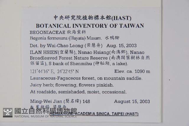 水鴨腳藏品圖，第2張