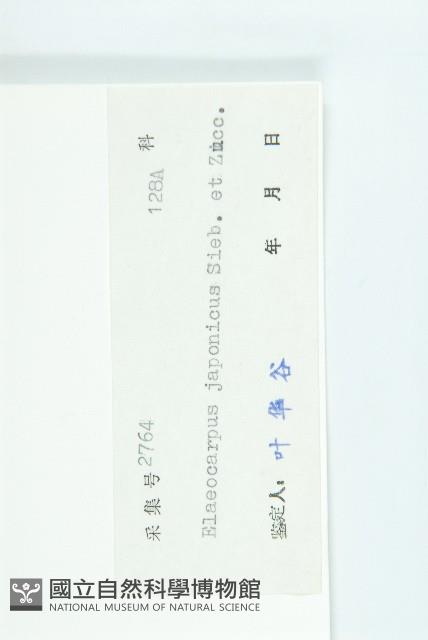 薯豆藏品圖，第3張