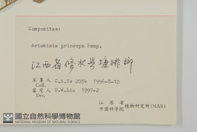 魁蒿藏品圖，第3張
