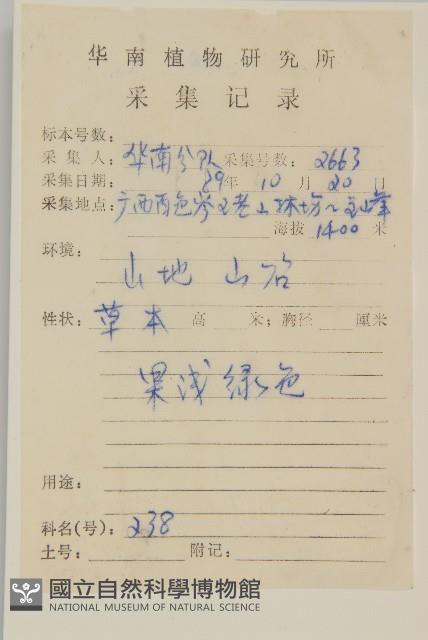 牡蒿藏品圖，第2張