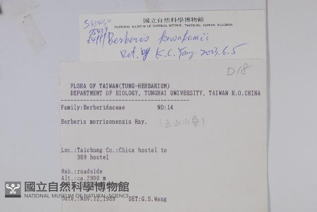 臺灣小蘗藏品圖，第2張