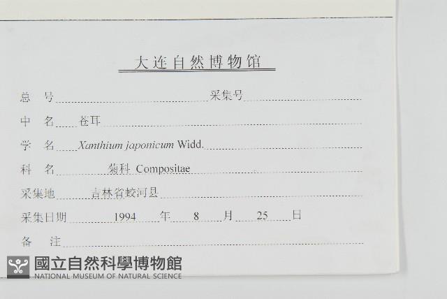 蒼耳藏品圖，第3張