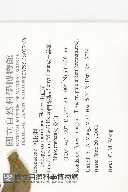 山紅柿藏品圖，第2張