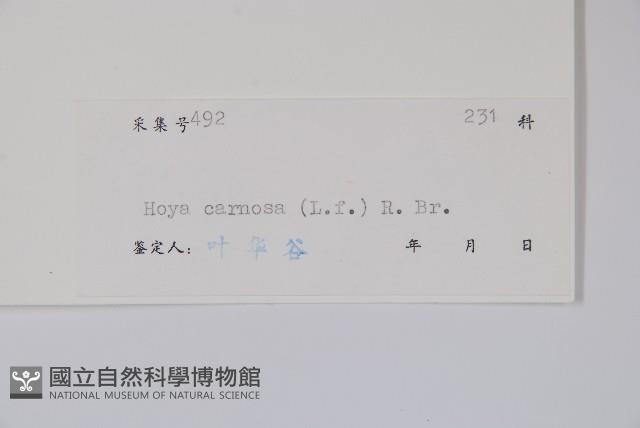 毬蘭藏品圖，第2張