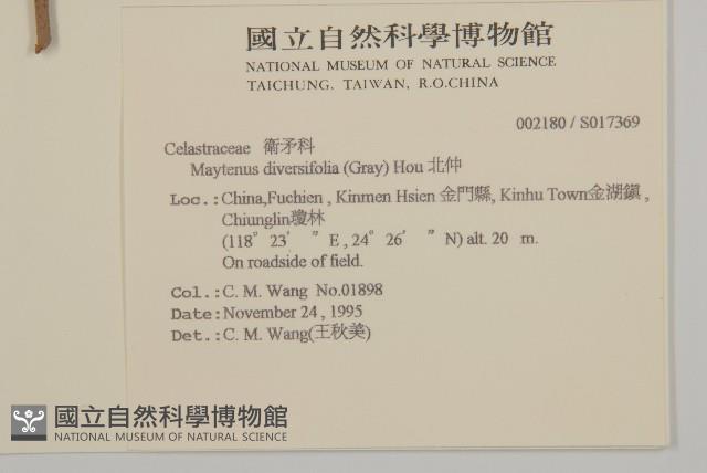 北仲, 刺裸實藏品圖，第2張