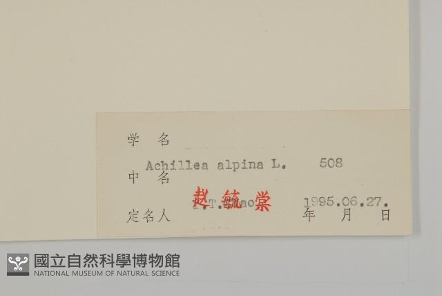 蓍草藏品圖，第3張