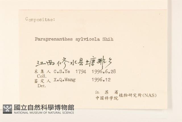 林生假福王草藏品圖，第3張