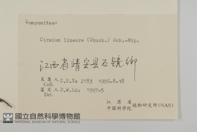 華薊藏品圖，第3張