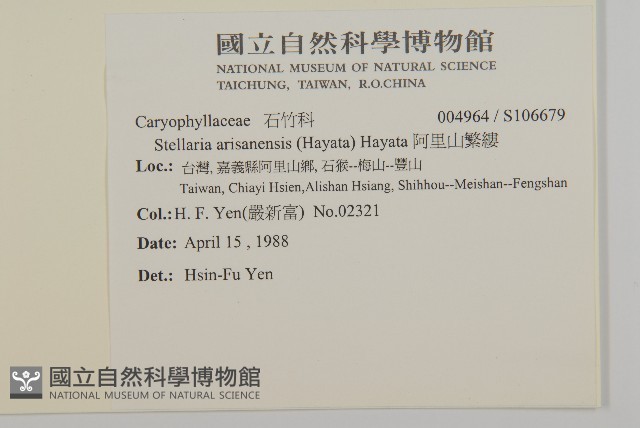 阿里山繁縷藏品圖，第2張