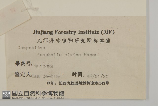 香青藏品圖，第3張