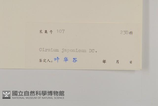 小薊藏品圖，第3張