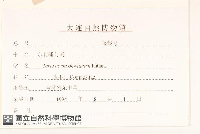 東北蒲公英藏品圖，第3張
