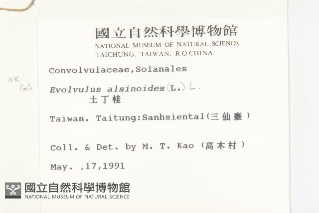 土丁桂藏品圖，第2張