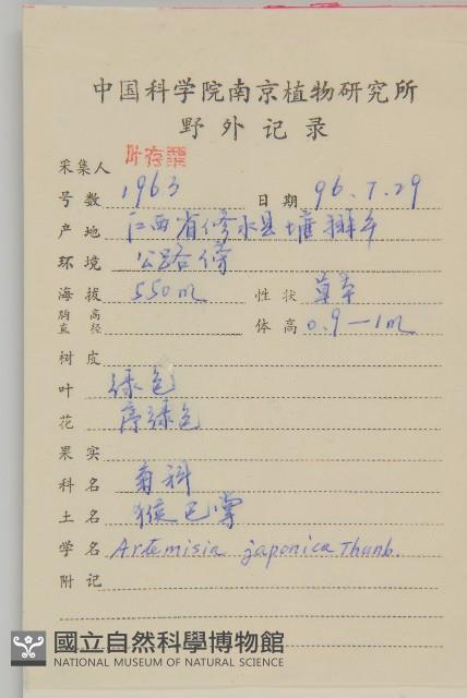 牡蒿藏品圖，第2張