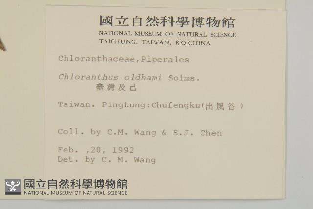 臺灣及己藏品圖，第2張