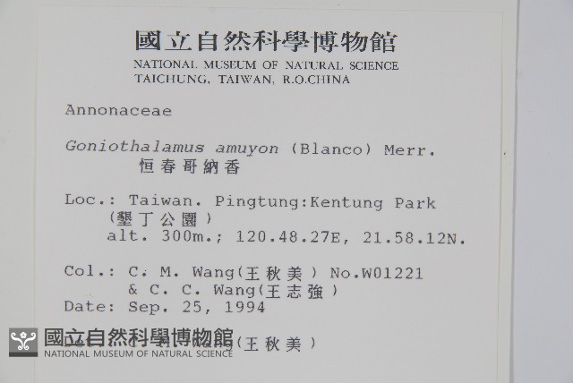 恆春哥納香藏品圖，第2張