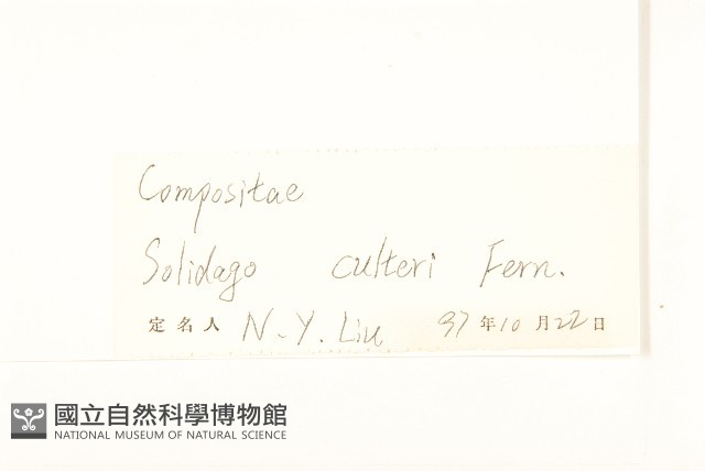 登錄號:S047528藏品圖，第3張