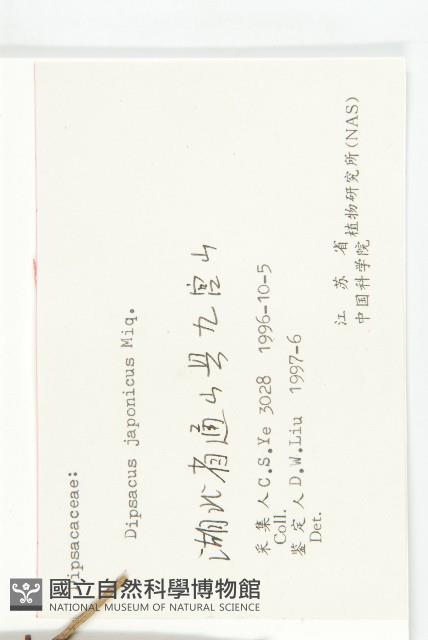 續斷藏品圖，第3張