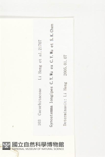 長葉絞股藍藏品圖，第3張