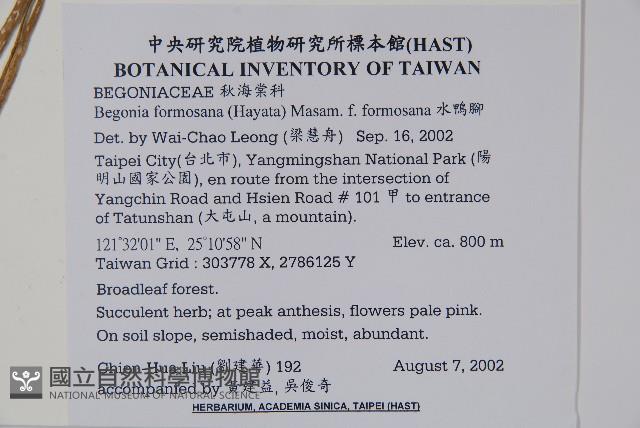 水鴨腳藏品圖，第2張