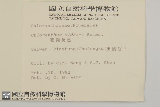 臺灣及己藏品圖，第2張