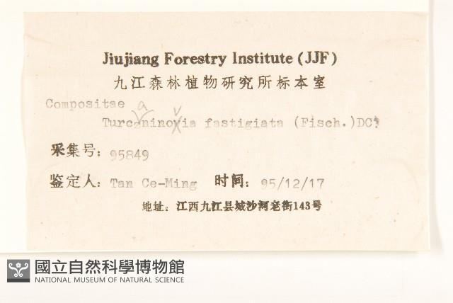 女菀藏品圖，第3張