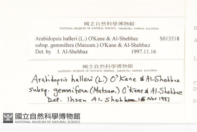 登錄號:S013518藏品圖，第3張