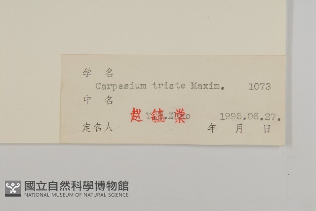 暗花金挖耳藏品圖，第3張