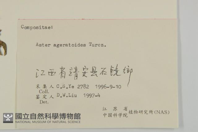 山白蘭藏品圖，第3張