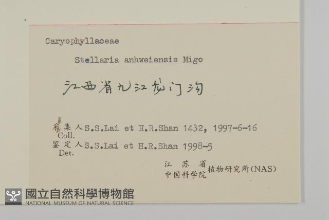 安徽繁縷藏品圖，第3張