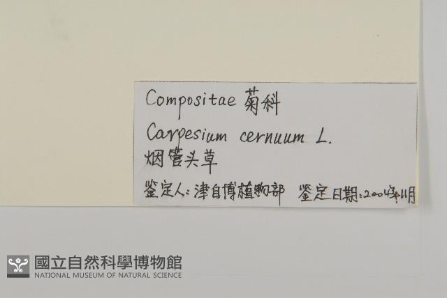 杓兒菜藏品圖，第3張