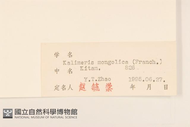 蒙古馬蘭藏品圖，第3張