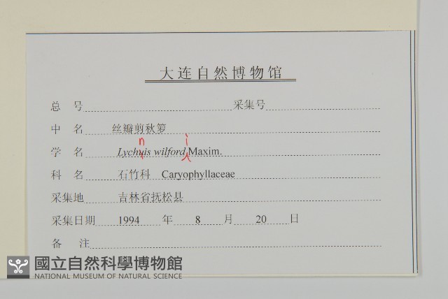 絲瓣剪秋籮藏品圖，第3張