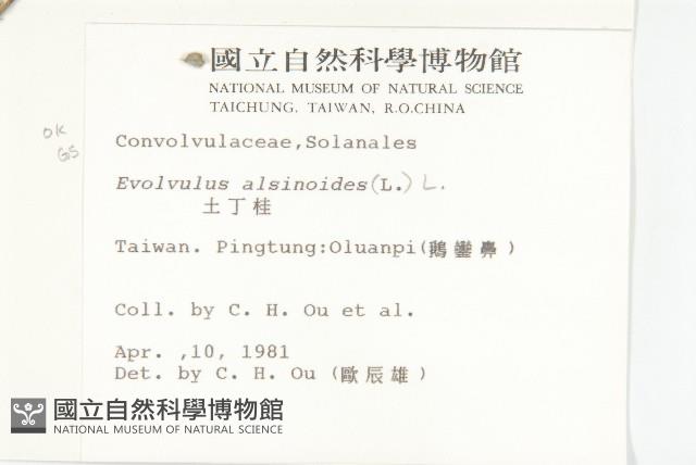 土丁桂藏品圖，第2張