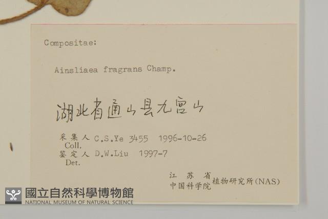 香鬼督郵藏品圖，第3張