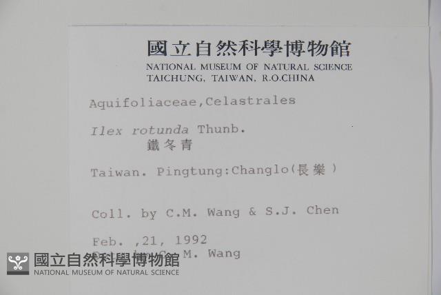 鐵冬青藏品圖，第2張