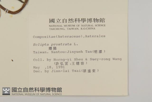 鱧腸藏品圖，第2張