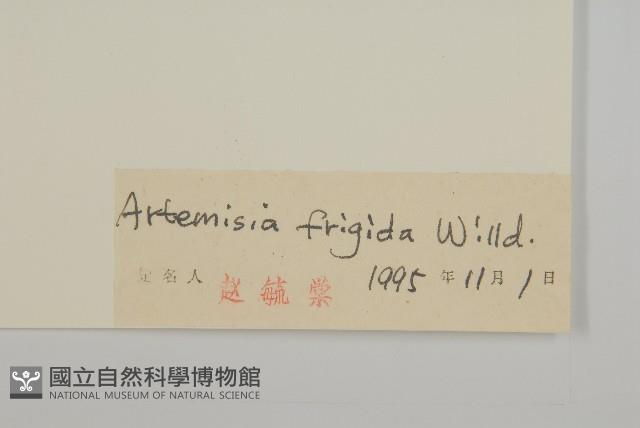 冷蒿藏品圖，第3張