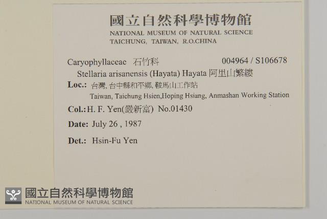 阿里山繁縷藏品圖，第2張