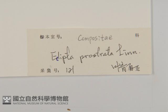 鱧腸藏品圖，第3張