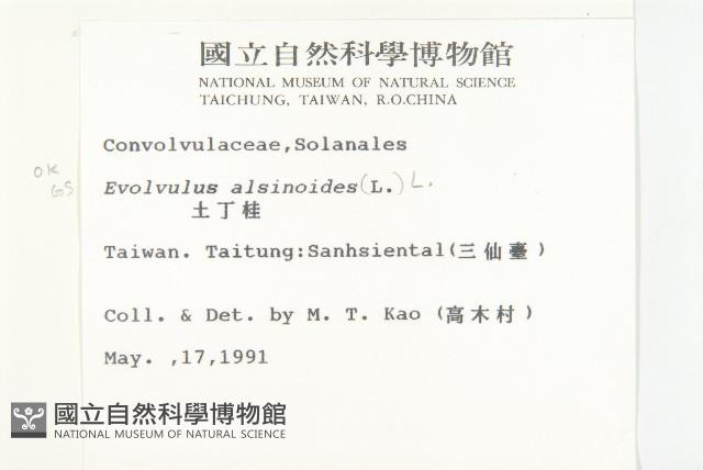 土丁桂藏品圖，第2張