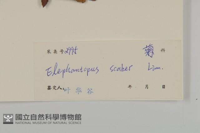 燈豎朽藏品圖，第3張