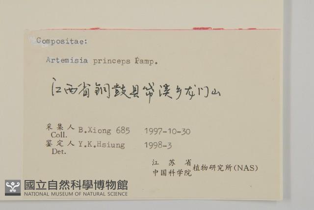 魁蒿藏品圖，第3張