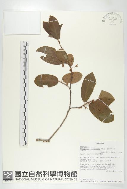 登錄號:S094323藏品圖，第3張