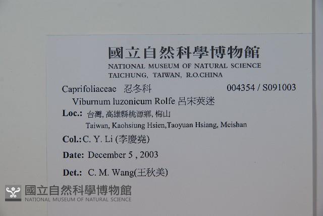 呂宋莢迷藏品圖，第2張