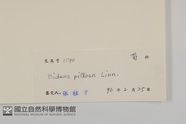 Accession Number:S041003 Collection Image, Figure 3, Total 3 Figures