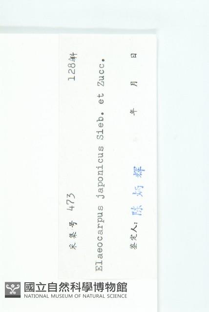 薯豆藏品圖，第3張